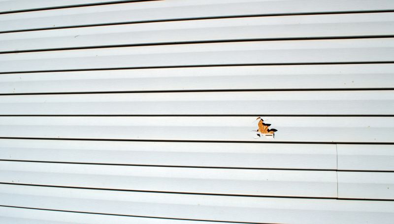 Vinyl Siding Repair Installation Image 2